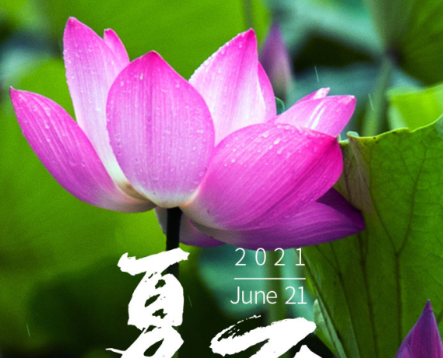 今日夏至|半夏木槿，萬(wàn)物勃發(fā)，長(zhǎng)日滿滿，青島中新華美遙祝夏安
